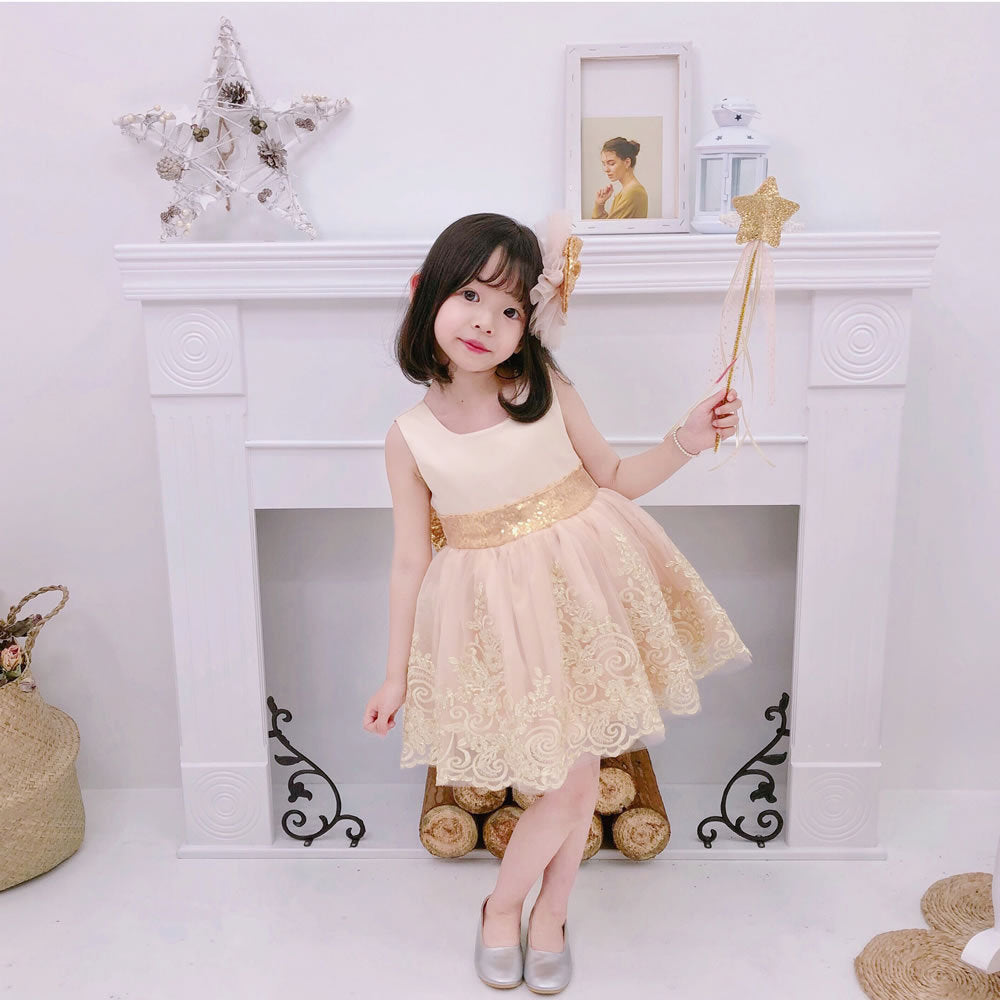 Baby Girl Skirt Flower Wedding Dress